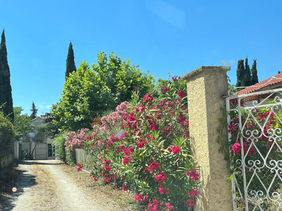 Clos Des Plages Maison De Vacances ลาซิโอตาต์ ภายนอก รูปภาพ